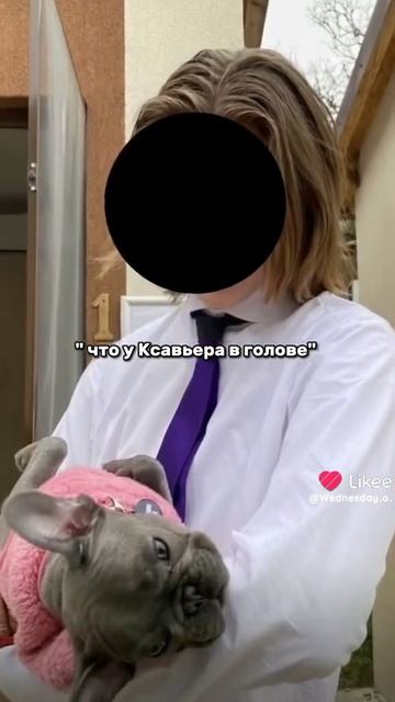 1000019334.mp4