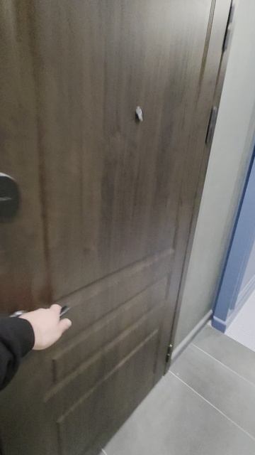 да винчи авито