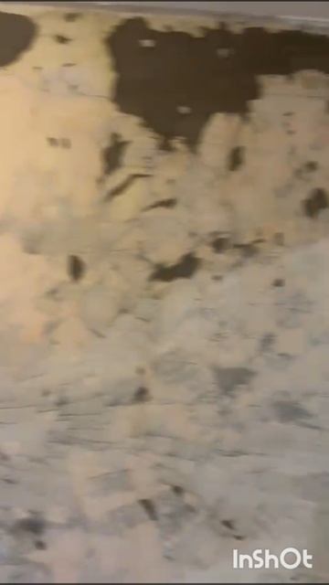 1000209152.mp4