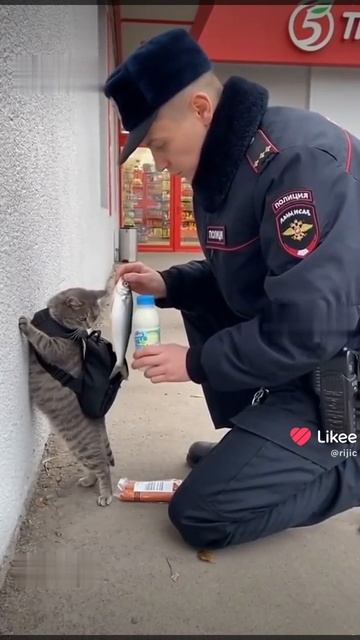 Кот поверил в себя
