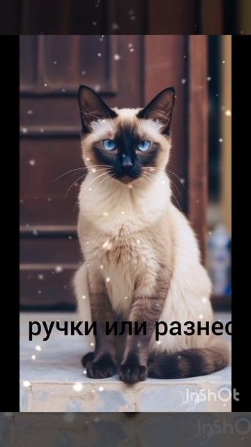 хорошего дня