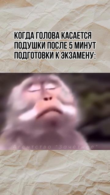 Мем про подготовку к экзамену