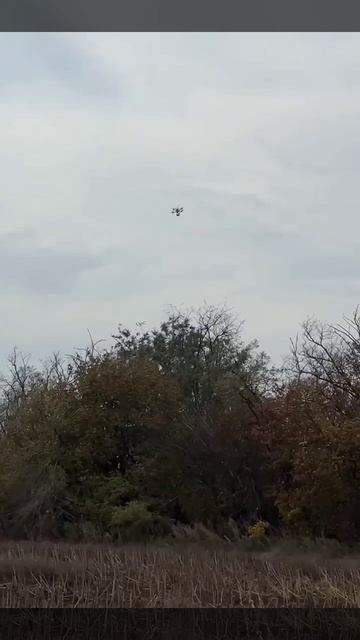 СВО👉ЖМИТЕ СЮДА👈