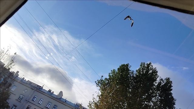 1000016887.mp4