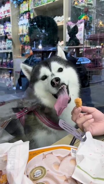🤣🤣 Обойдётся