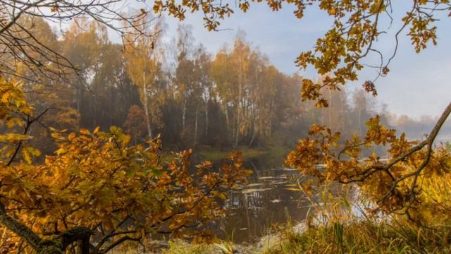 Осенний консонанс