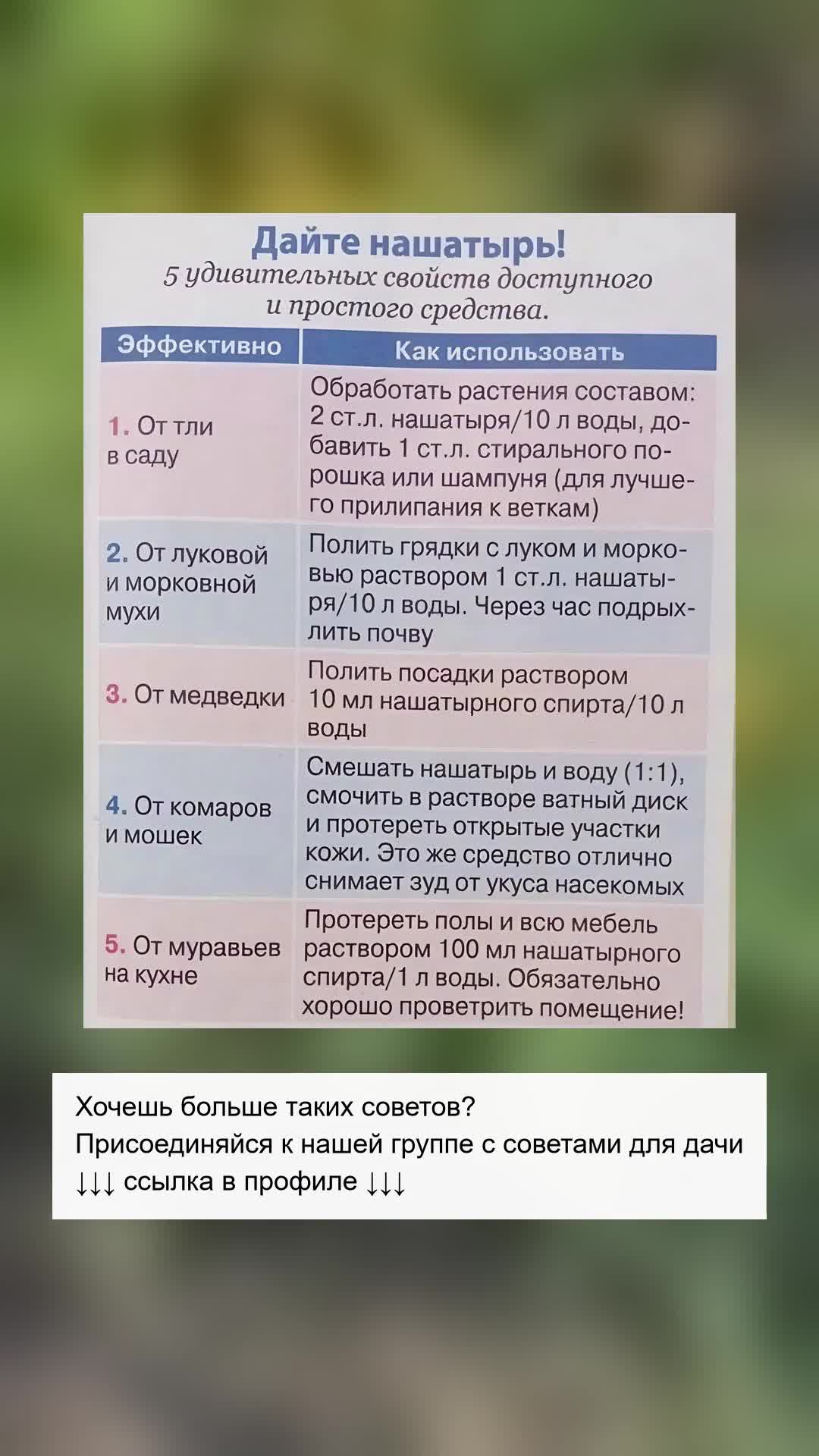 5 Способов Использовать Нашатырь на Даче