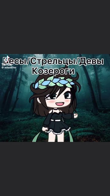 #caxapok_stori