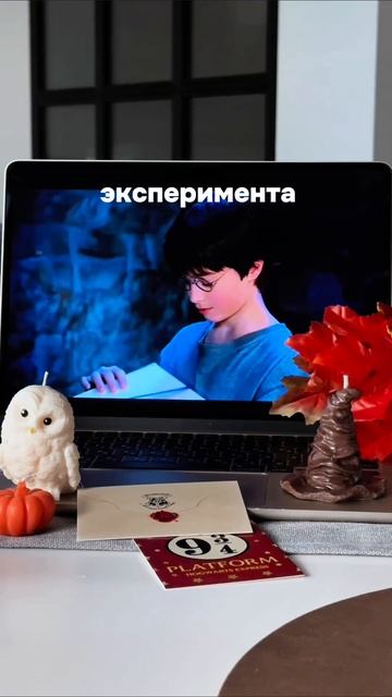 Подписывайтесь, если хотите ✨