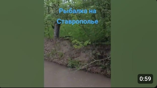 МОРМЫШИНГ! ЛЕСНОЙ РУЧЕЙ!