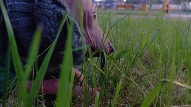 1000018070.mp4