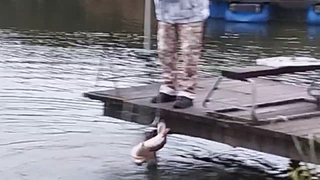 1000037495.mp4
