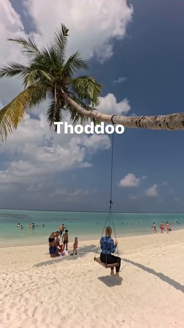 ИНСПЕКЦИЯ 📍ТОДДУ• фрукты, плантации, джунгли• много русскоговорящих • большое количество фото