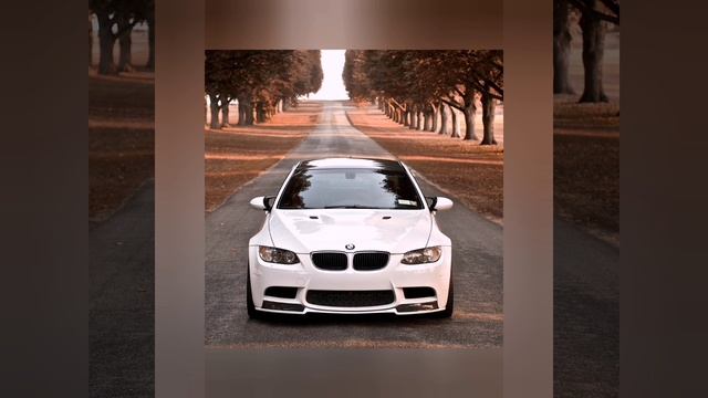 YouCut_20251011_094439825.mp4