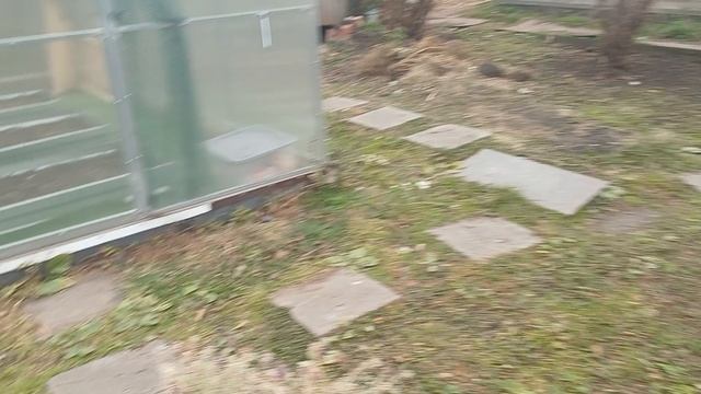 Предпоследние штрихи.И опять Дача.12.10.2025г.