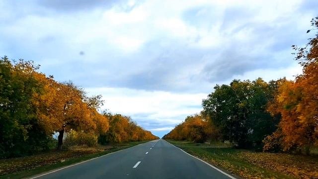 1000079029.mp4