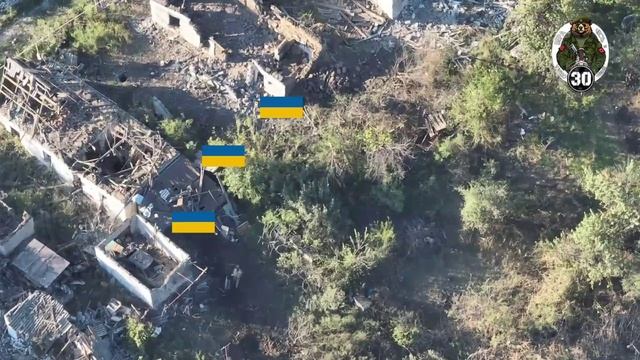 Точное попадание расчёта артиллерии ВС РФ по группе укроботов в частном секторе Покровска.