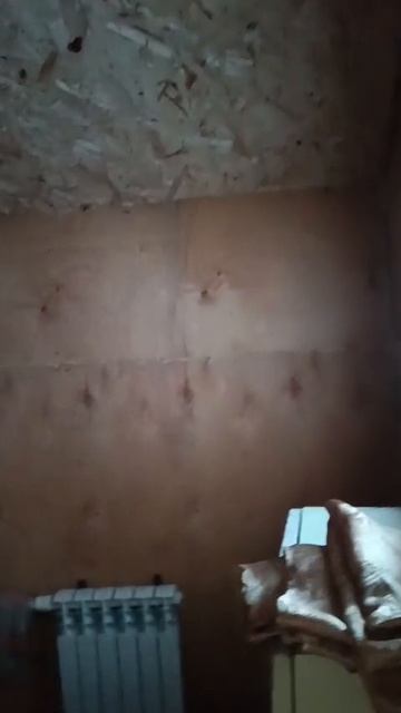 1000197055.mp4
