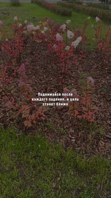 Иногда кажется, что жизнь ставит тебя на паузу