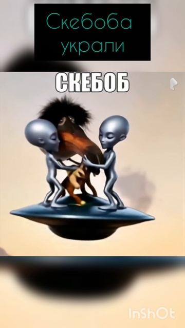 скебоб