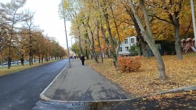 Москва, Кузьминки, Волгоградский проспект.