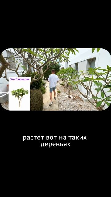 Квартира у моря на Кипре кипр северныйкипр недвижимость переезд