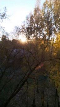 осеннее🍁🍂 солнышко☀😍