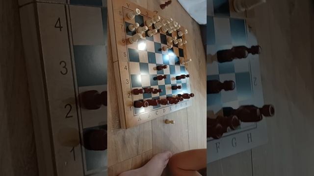 как я играл в шахшахматы
