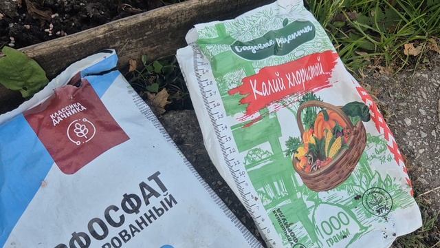 336. Подготовка виноградников к зиме. Урожай собрал. Новый куст высадил.