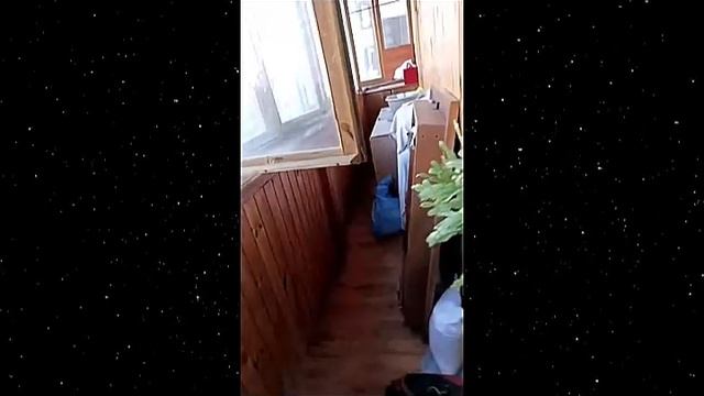 Всячинки