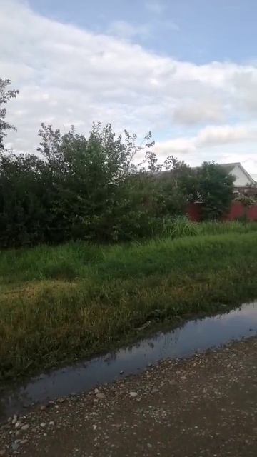 VID-20251012-WA0012.mp4