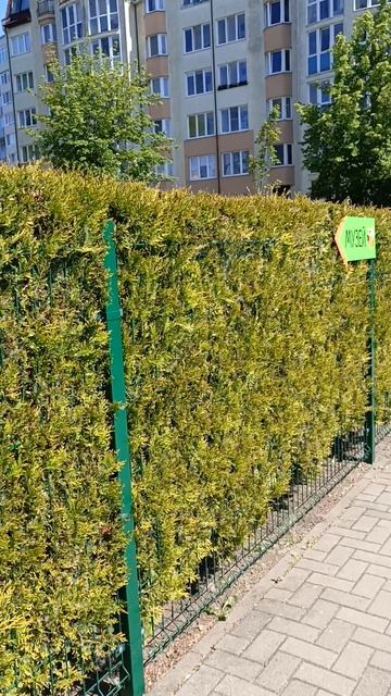 Зеленоградскутро выдвинулись в поисках мурариума