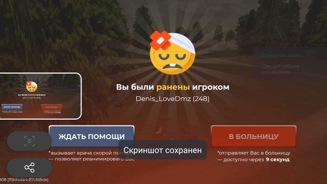 Denis_LoveDmz