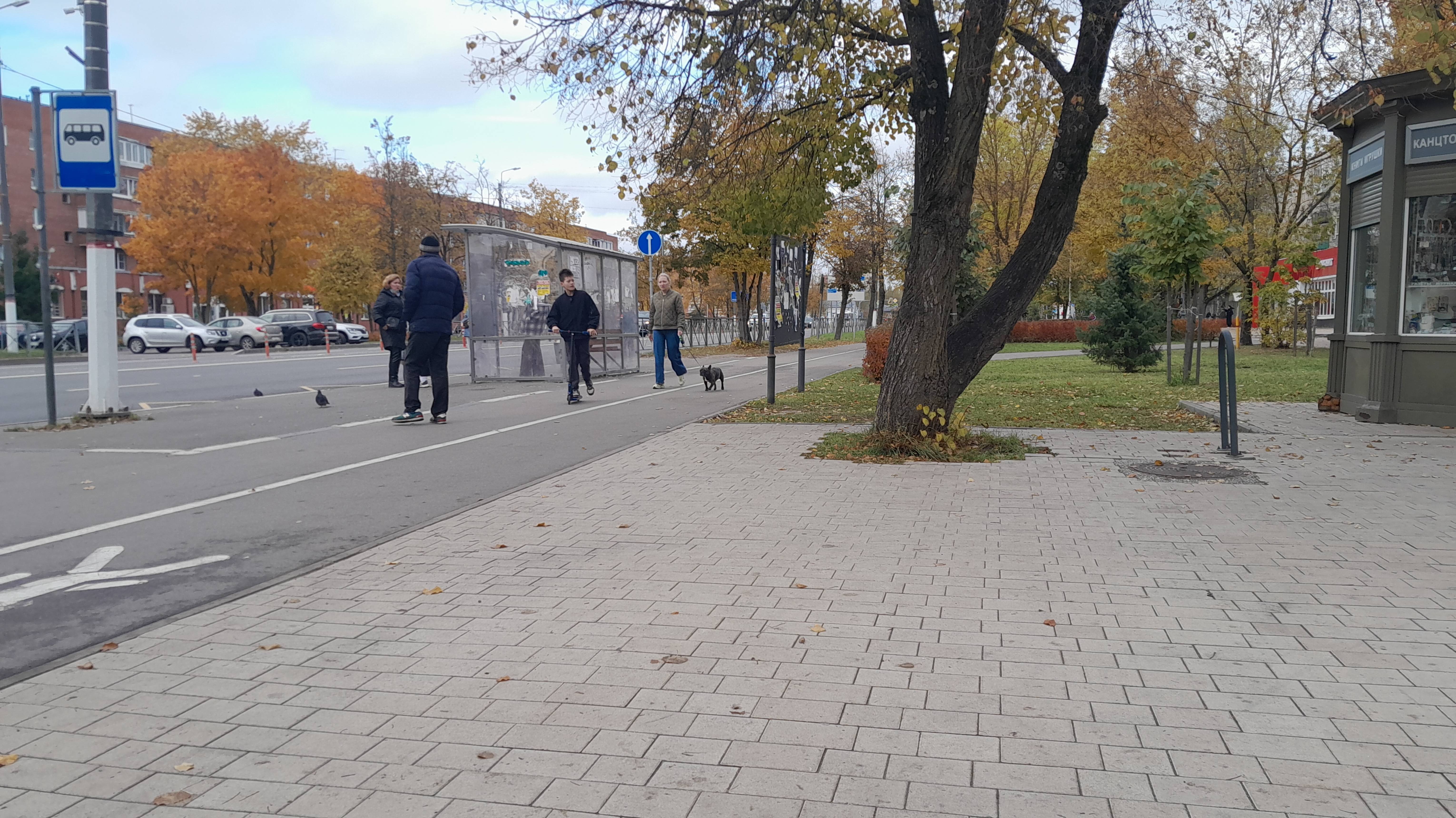 Ирина Одарчук Паули Электронный концерт №2 2025