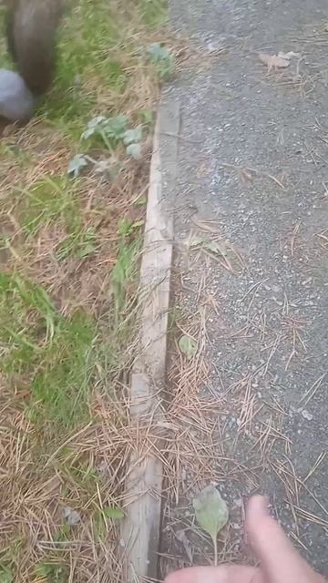 БЕЛОЧКА🐿️