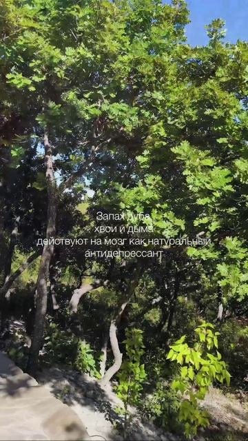 Видео от МОНС 4* COTTAGE