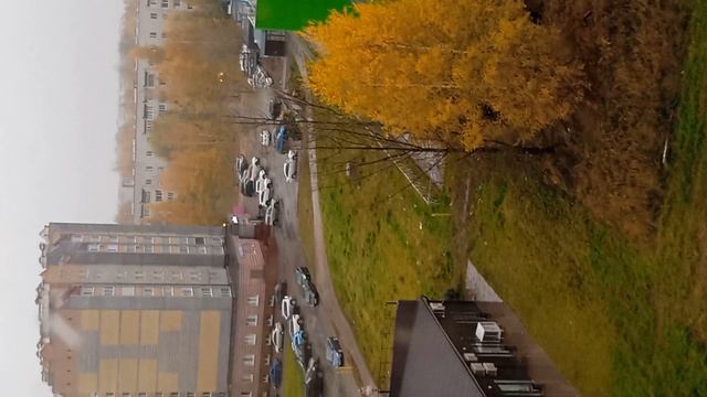 Дождик