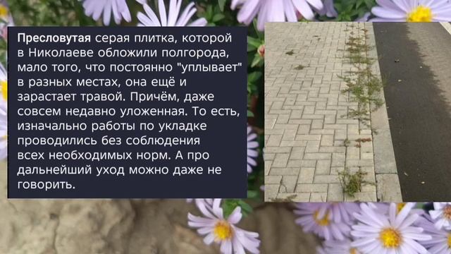 Николаев 12 октября 2025 года новости