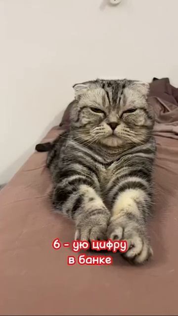 Это тебе