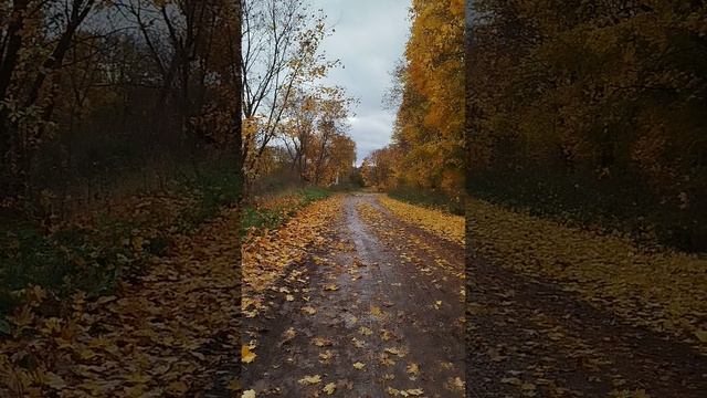 прогулочка