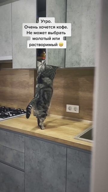 Кофе выбирает