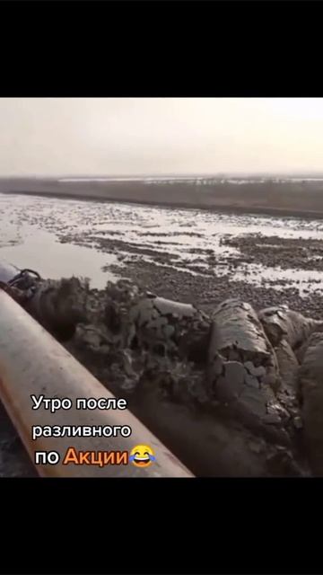 топ олдовский мемасик