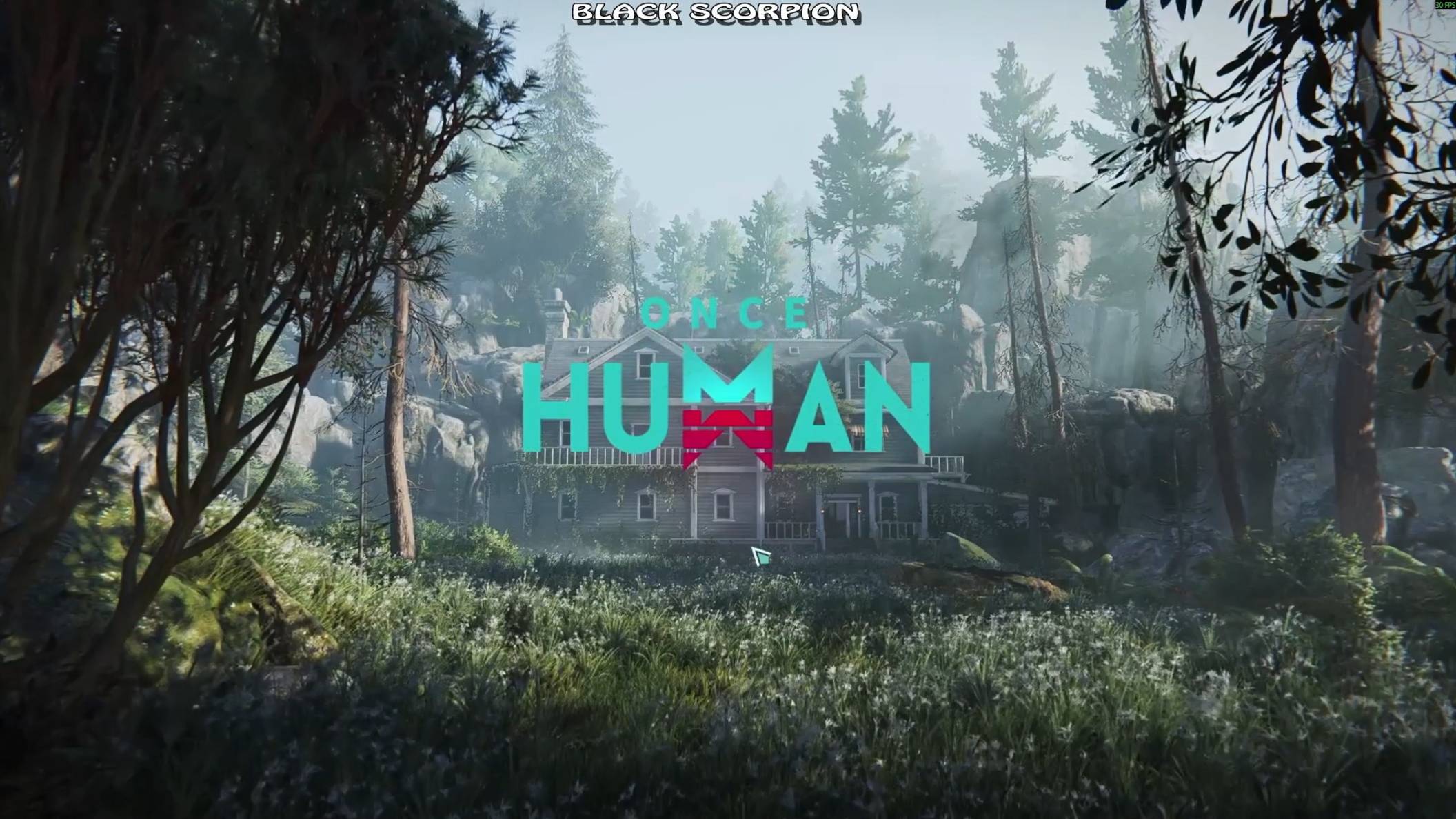 Once Human
