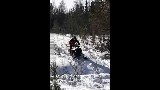 Всячинки