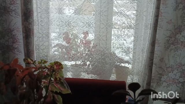 Ехали мы Ехали и пришли❄
