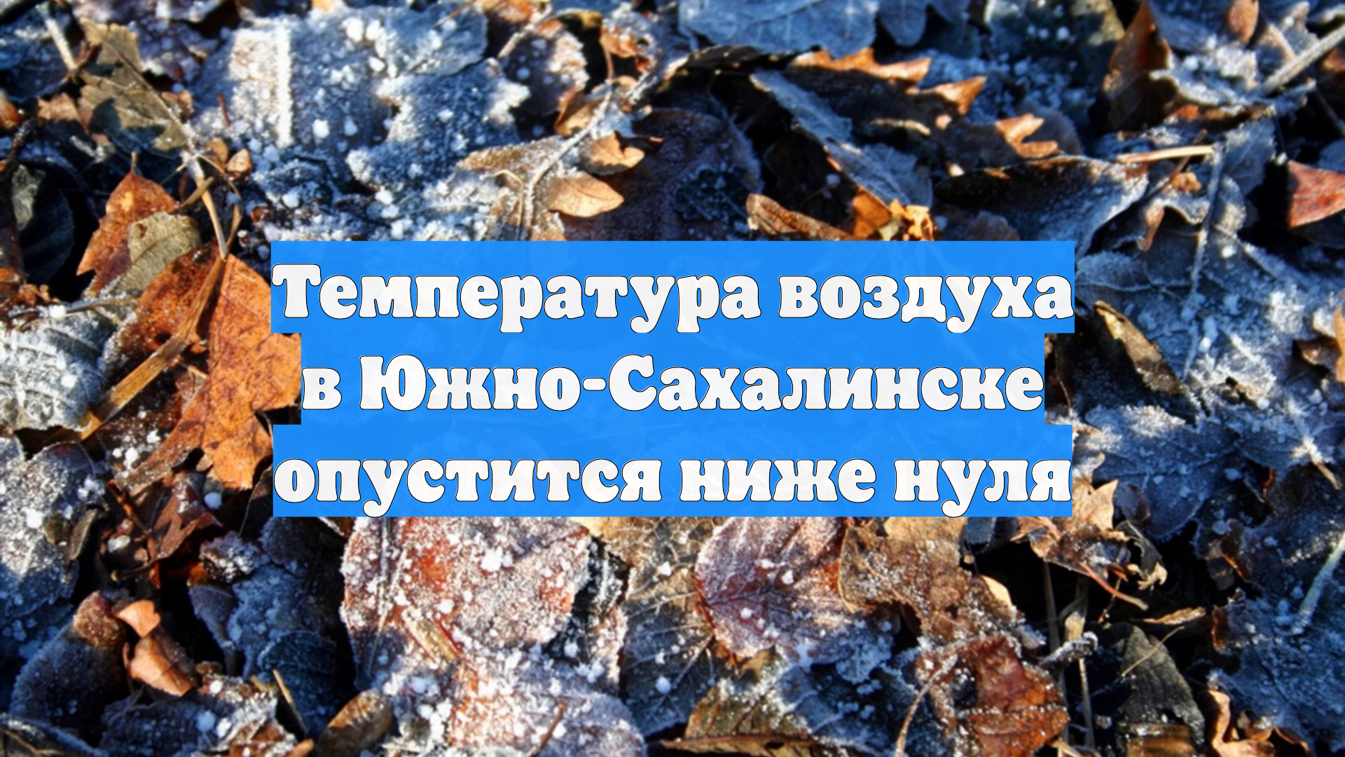 Температура воздуха в Южно-Сахалинске опустится ниже нуля