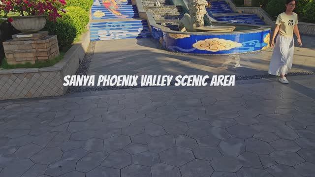 compose_video_1759532520430