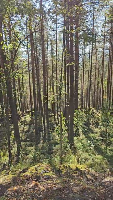 Карелия. Медвежьегорск. Кархумяки. Karelia. Medvezhyegorsk. Karkhumyaki