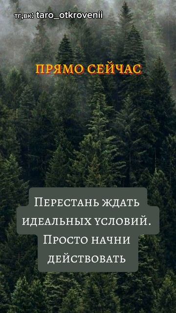 мотивация для тебя