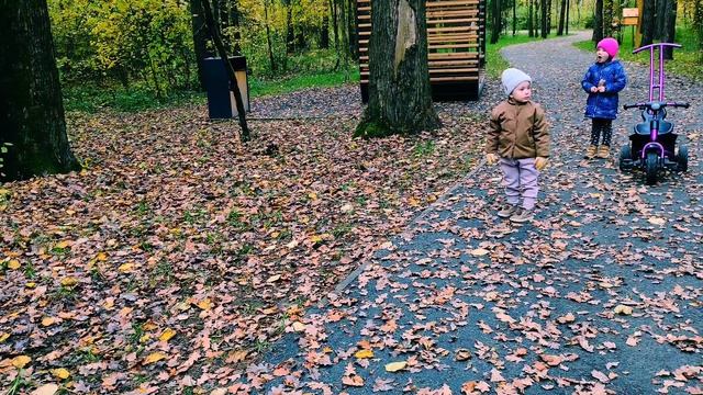 2025.10.12. Лесопарк Дубки. Л И С Т О П А Д ...